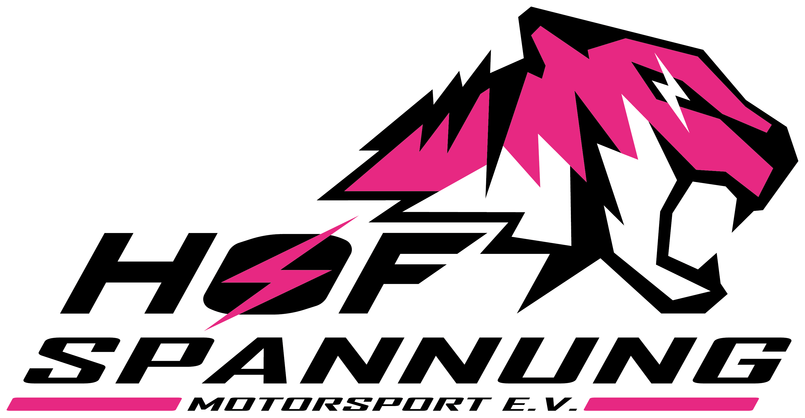 team logo