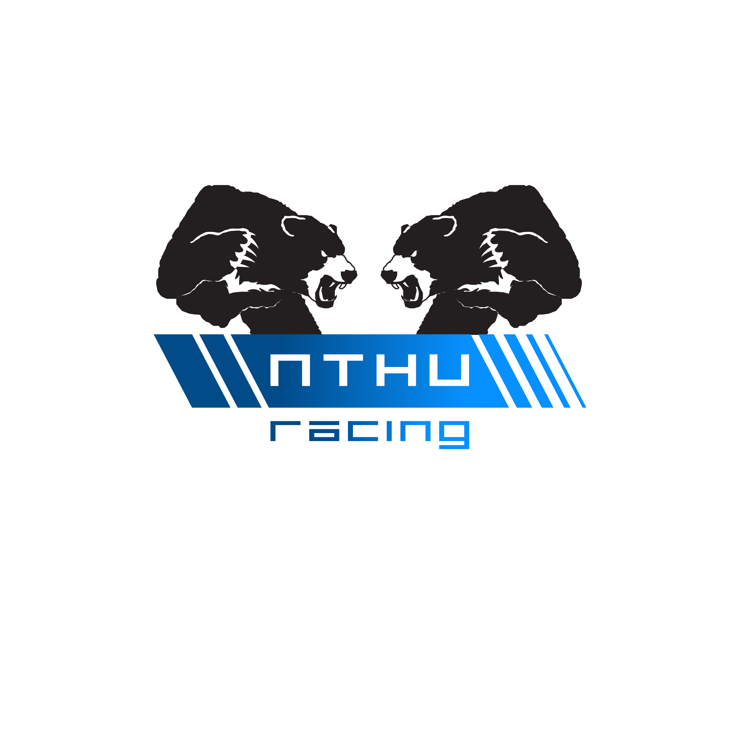 team logo