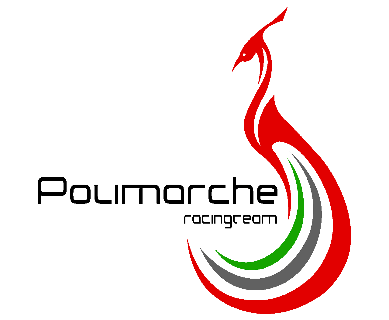 team logo