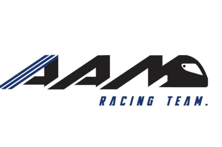 team logo