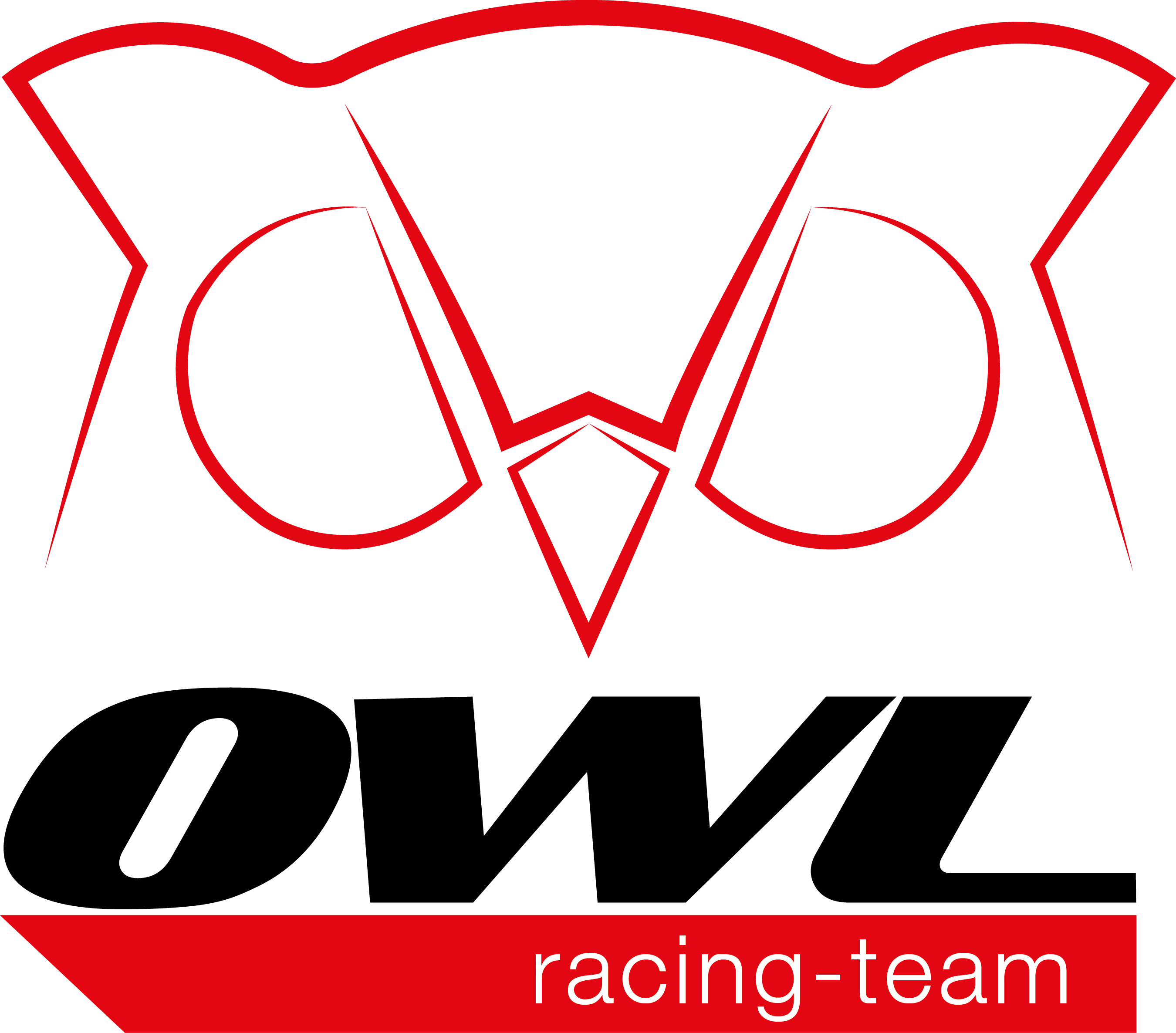 team logo