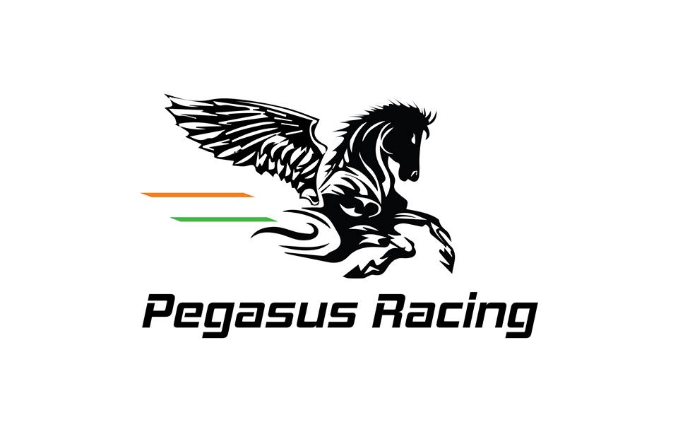 team logo