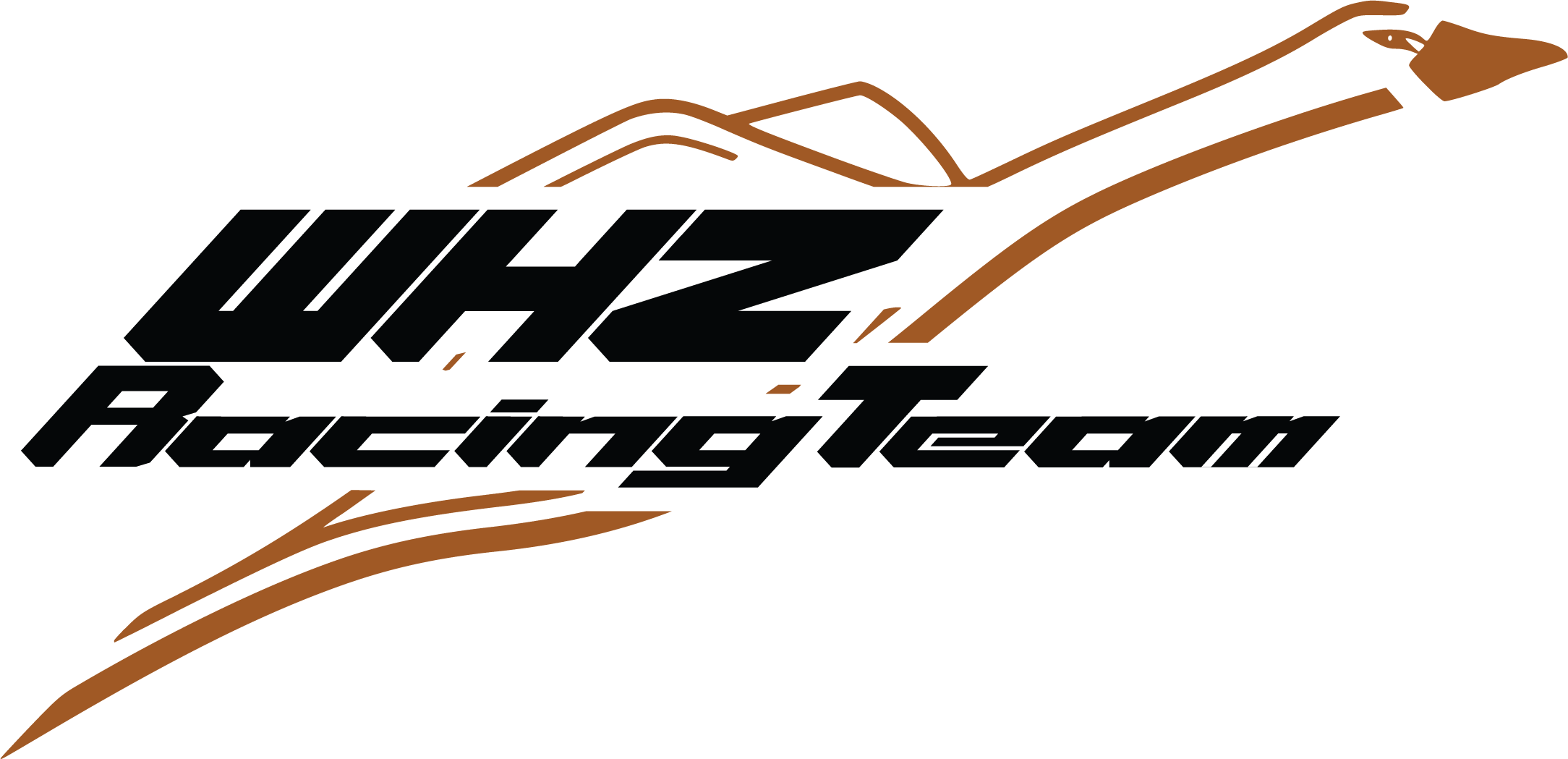 team logo