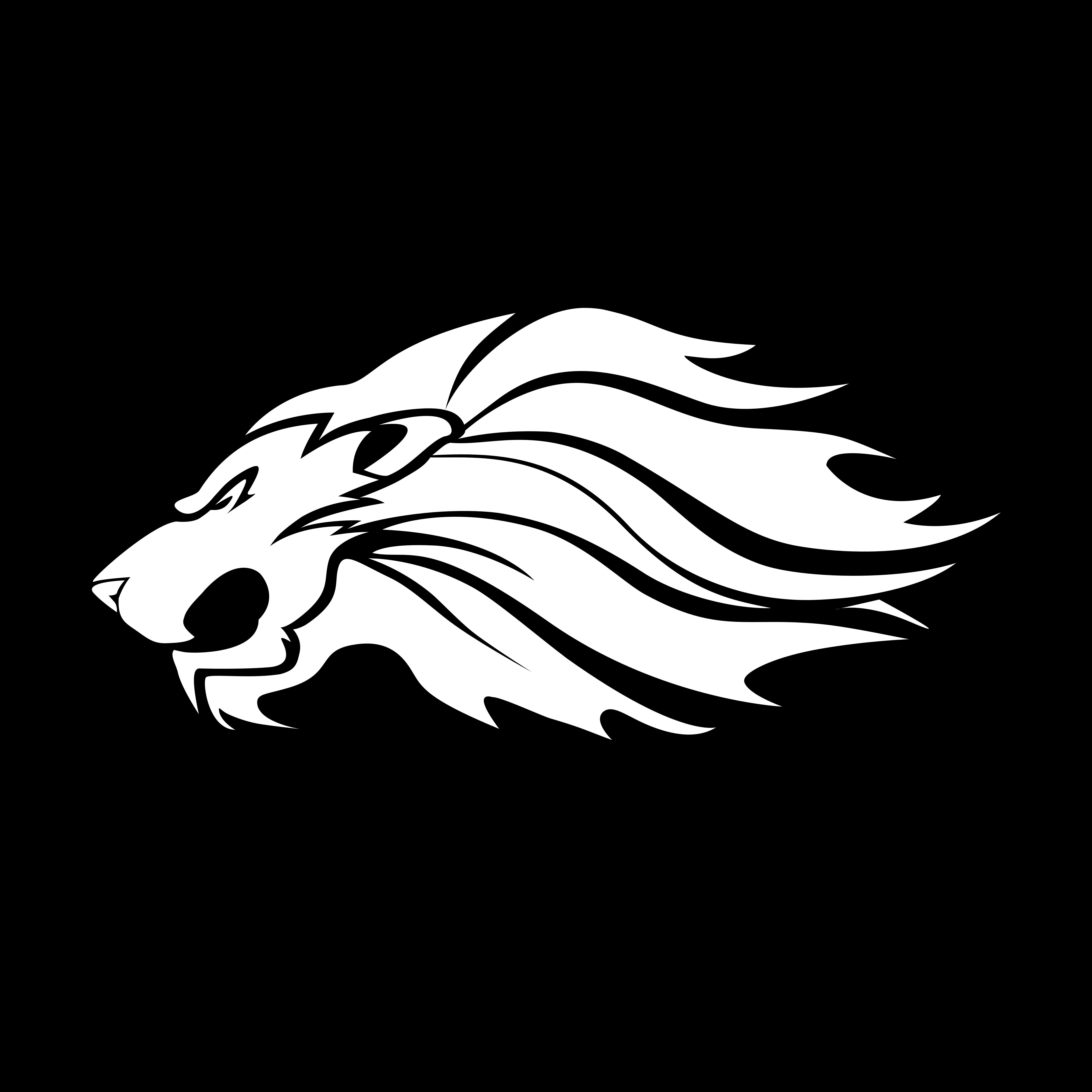 team logo